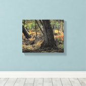 Herbstwaldszene Leinwanddruck (Insitu (Holzboden))