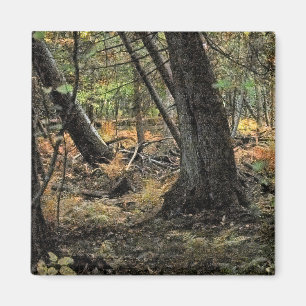 Herbstwaldszene Magnet
