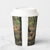 Herbstwaldszene Pappbecher (Links)