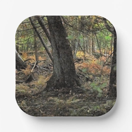 Herbstwaldszene Pappteller (Vorderseite)