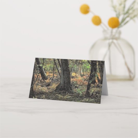 Herbstwaldszene Platzkarte (Rückseite)