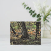 Herbstwaldszene Postkarte (Stehend Vorderseite)