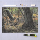 Herbstwaldszene Seidenpapier (Handwerk)