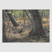 Herbstwaldszene Seidenpapier (Vorderseite)