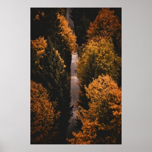 Herbstwaldweg Poster (Vorne)