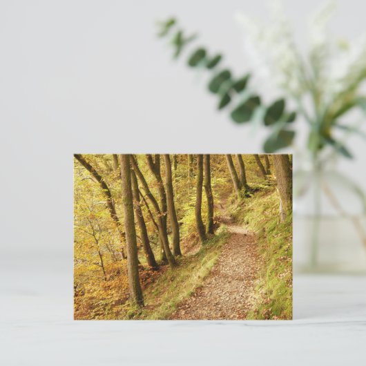 Herbstwaldweg Postkarte (Stehend Vorderseite)