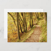 Herbstwaldweg Postkarte (Vorne/Hinten)