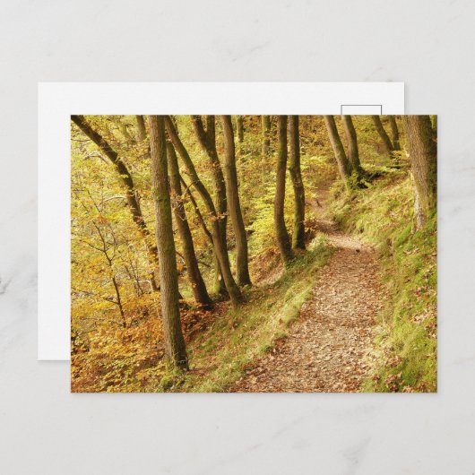 Herbstwaldweg Postkarte (Vorne/Hinten)