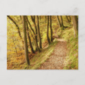 Herbstwaldweg Postkarte (Vorderseite)
