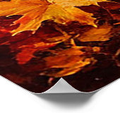 Herbstwaldweg umgeben von Birkenwäldern Poster (Ecke)