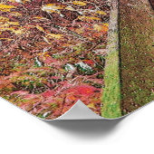 Herbstwanderung Poster (Ecke)