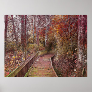 Herbstwanderung Poster