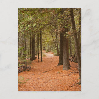 Herbstwanderung Postkarte