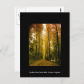 Herbstwanderung Postkarte (Vorne/Hinten)