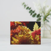 Herbstwärme Postkarte (Stehend Vorderseite)
