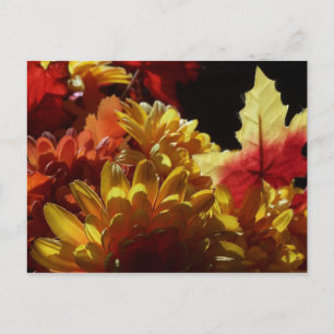 Herbstwärme Postkarte