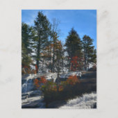 Herbstwasserfall Hochfälle Fotografie NC Postkarte (Vorderseite)