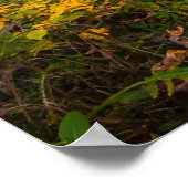 Herbstwasserfalllandschaft Kamniška Bistrica, Slo Poster (Ecke)