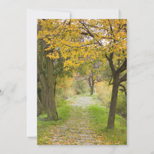 Herbstweg Dankeskarte