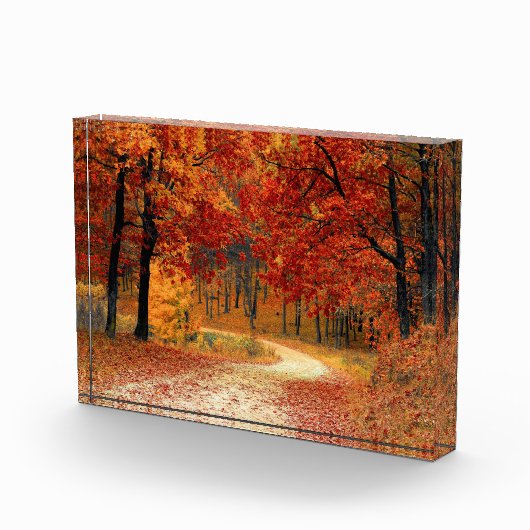 Herbstweg durch die Bäume Fotoblock (Rechts)