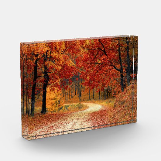 Herbstweg durch die Bäume Fotoblock (Links)