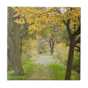 Herbstweg Fliese
