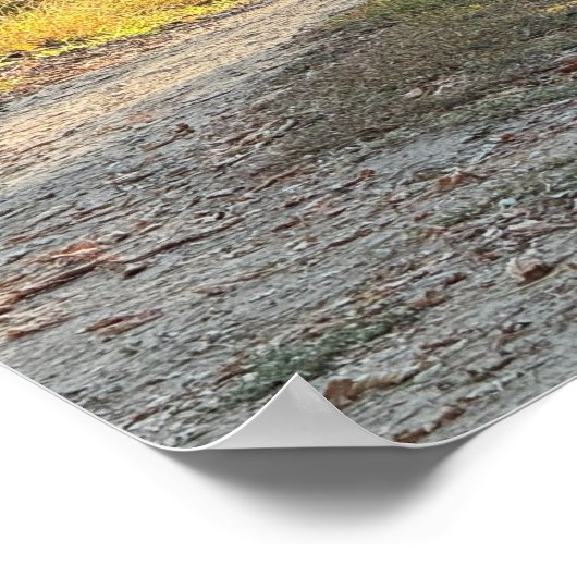 Herbstweg Foto Poster (Ecke)