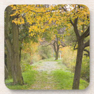 Herbstweg Getränkeuntersetzer