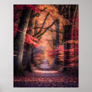 Herbstweg im Vermont-Wald Poster