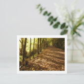 Herbstweg: Keswick Postkarte (Stehend Vorderseite)