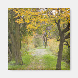 Herbstweg Magnet