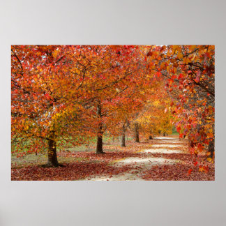 Herbstweg Poster