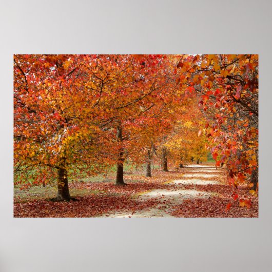 Herbstweg Poster (Vorne)