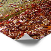 Herbstweg Poster (Ecke)