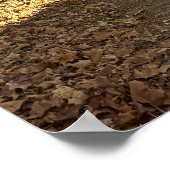 Herbstweg Poster (Ecke)