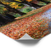 Herbstweg Poster (Ecke)