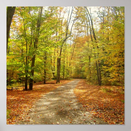 Herbstweg Poster (Vorne)