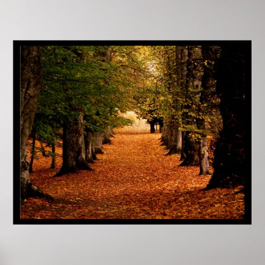 Herbstweg Poster drucken (Vorne)