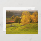 Herbstweg Postkarte (Vorne/Hinten)