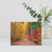 Herbstweg, Postkarte (Stehend Vorderseite)