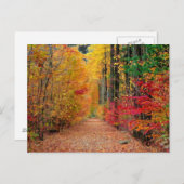 Herbstweg, Postkarte (Vorne/Hinten)