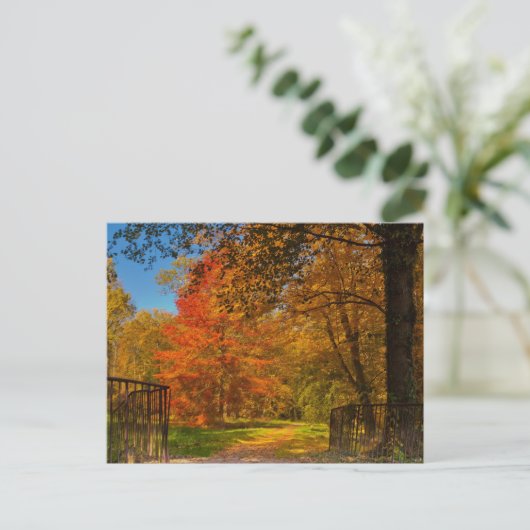 Herbstweg Postkarte (Stehend Vorderseite)