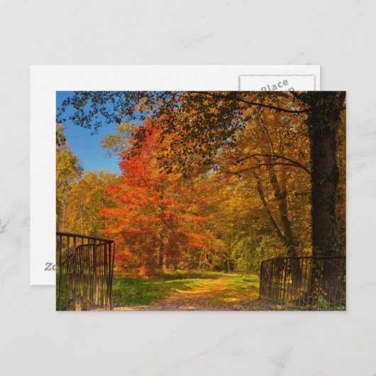 Herbstweg Postkarte (Vorne/Hinten)