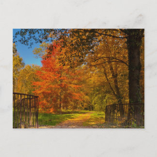 Herbstweg Postkarte