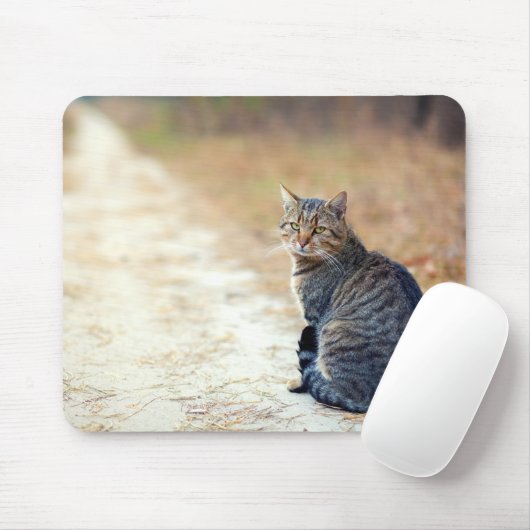 Herbstweg Tabby Mousepad (Mit Mouse)