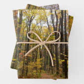 Herbstweg und Golden Blätter im Laurel Hill Park (Beispiel)