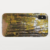 Herbstweg und Golden Blätter im Laurel Hill Park Case-Mate iPhone Hülle (Rückseite (Horizontal))