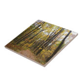 Herbstweg und Golden Blätter im Laurel Hill Park Fliese (Seite)