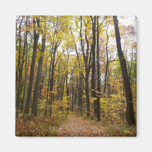 Herbstweg und Golden Blätter im Laurel Hill Park Magnet