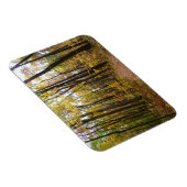 Herbstweg und Golden Blätter im Laurel Hill Park Magnet (Rechte Seite)